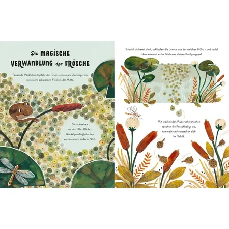 Carlsen Verlag Kleine und große Wunder der Natur