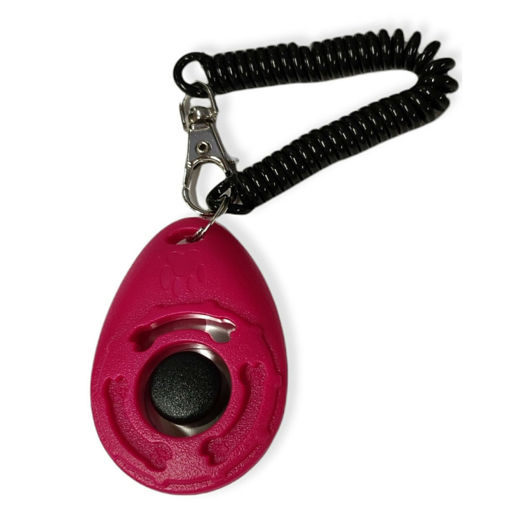 Un clicker sporting pour chien- couleur aléatoire