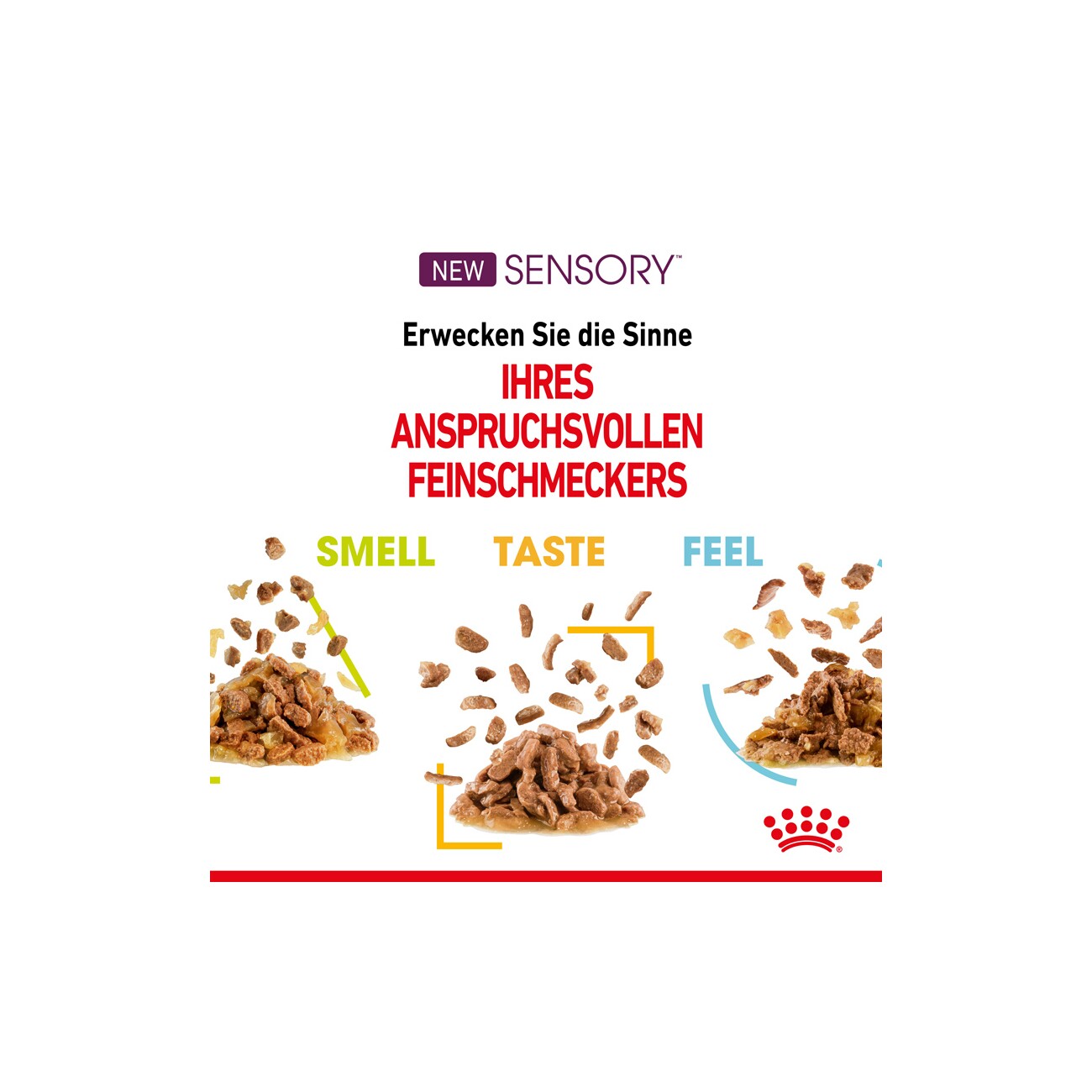 ROYAL CANIN SENSORY Smell in Gelee für wählerische Katzen 12x85g