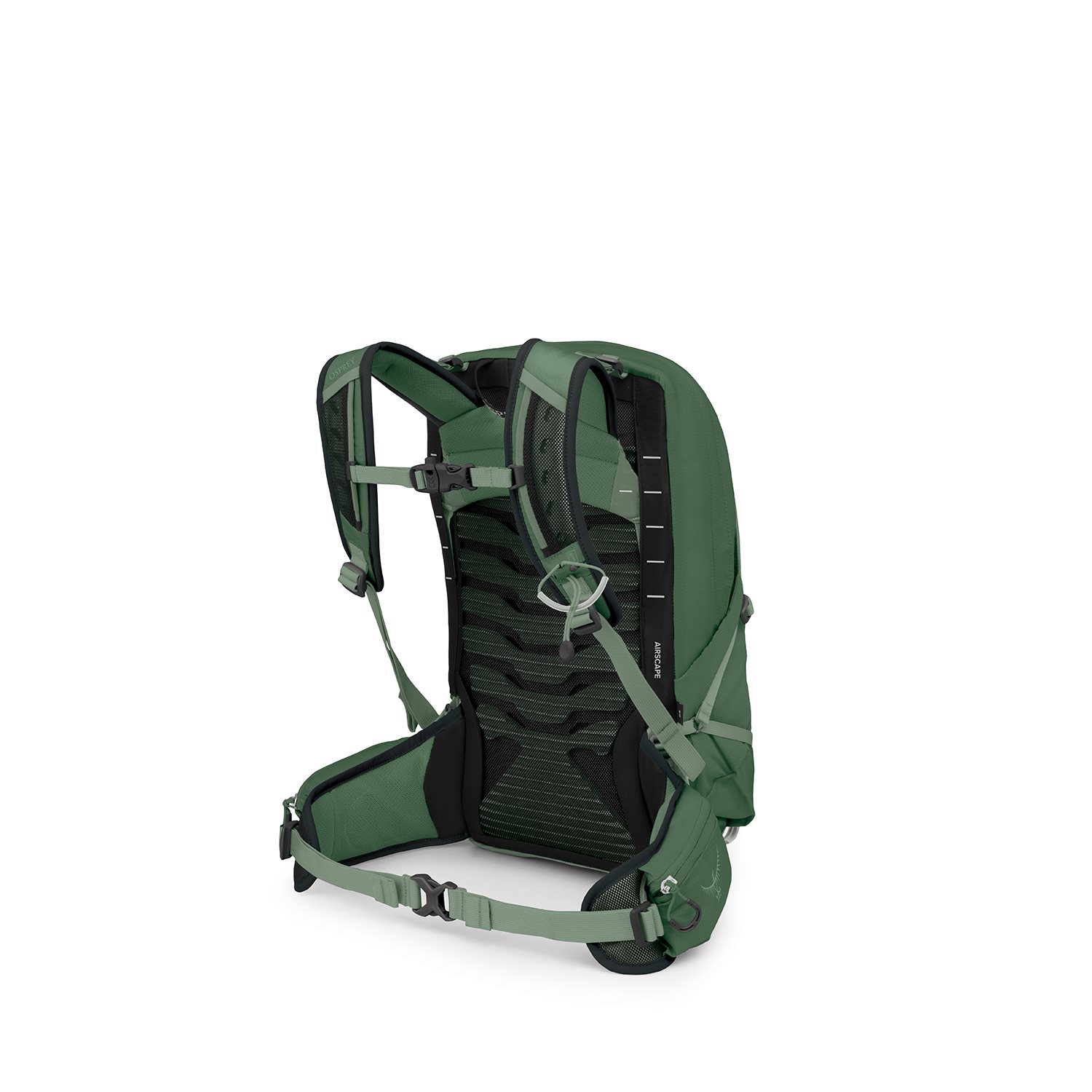 Osprey Talon 11 green canopy
