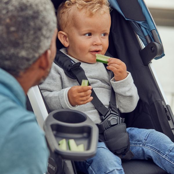 Thule Spring Snack Tray