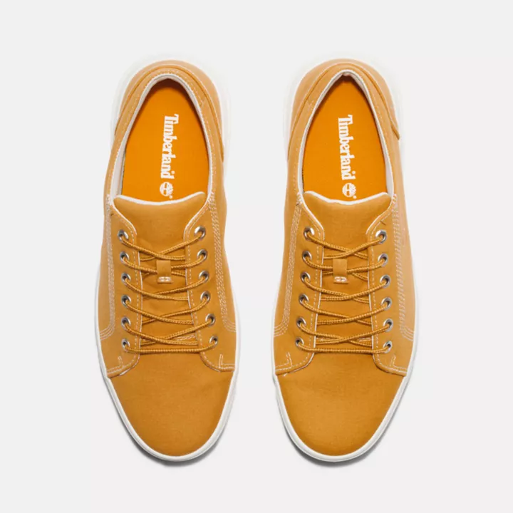 Basket Seneca Bay pour homme en marron