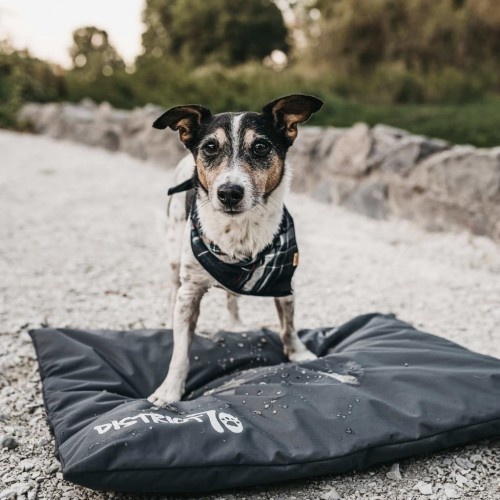 Tapete para gaiola de cachorro Lodge, antracite