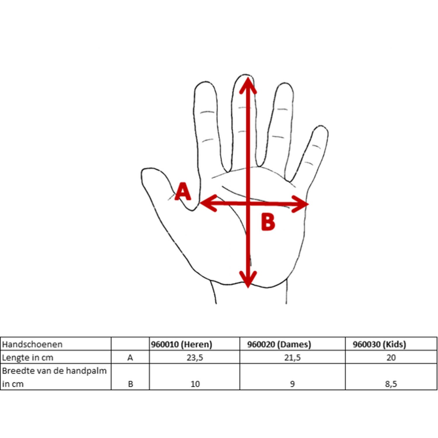 Donnay  Thermo Gloves Men