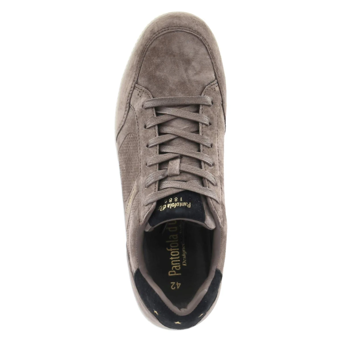 Pantofola d'oroLow Sneaker VELO - taupe/black