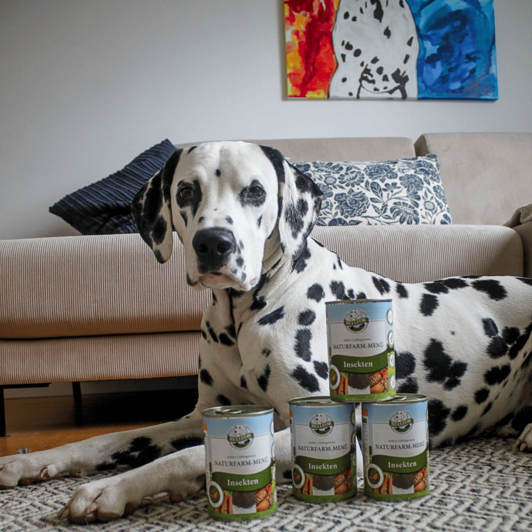 Bellfor Hypoallergenes Hundefutter Nass mit Insekten - Naturfarm-Menü