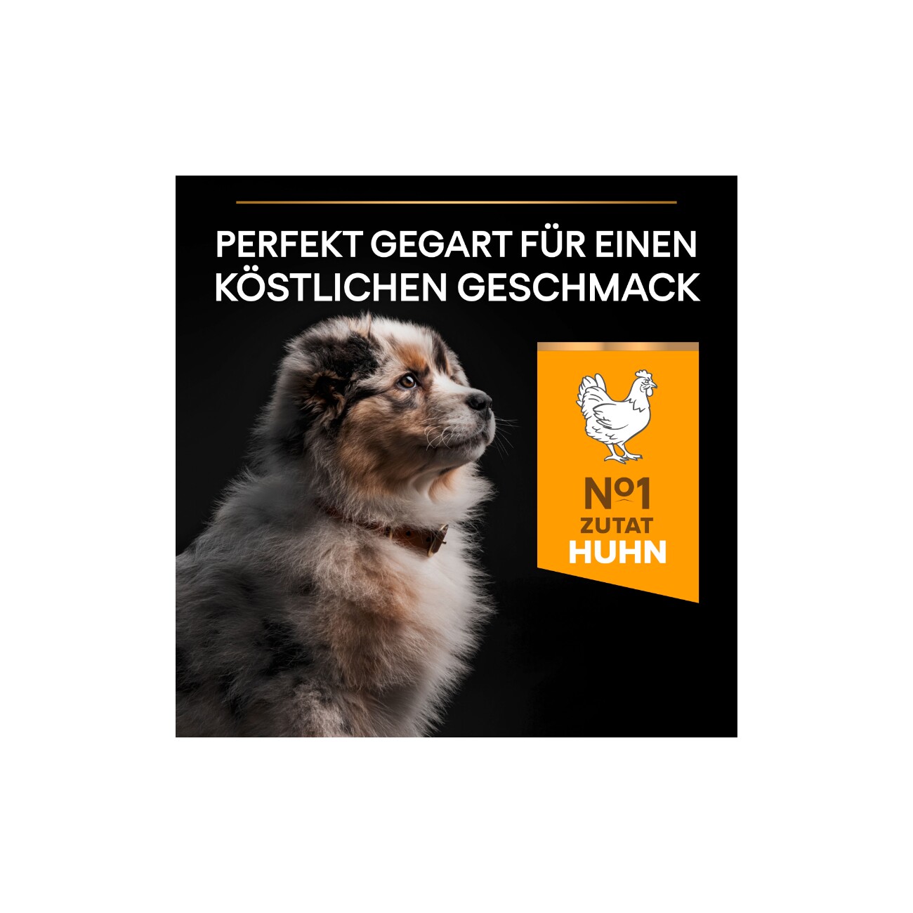 PRO PLAN Puppy Medium Healthy Start Huhn 3 kg