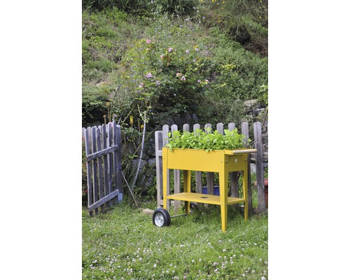 Verhoogd tuinbed op palen Herstera Garden Kräuterfabrik Urban Mustard 75x35x80 cm mosterd