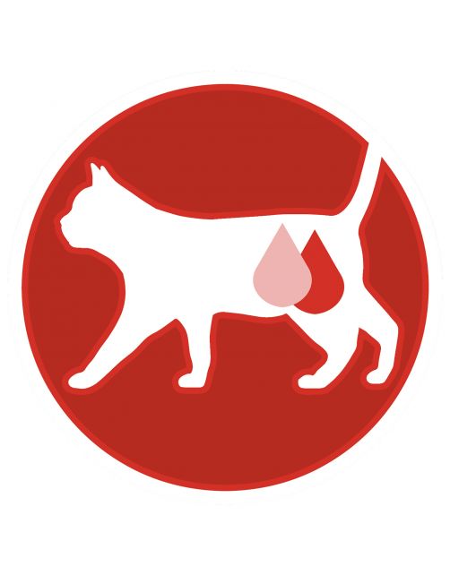 Purina One Sterilcat - Kattenvoer - Rund Granen 800 g
