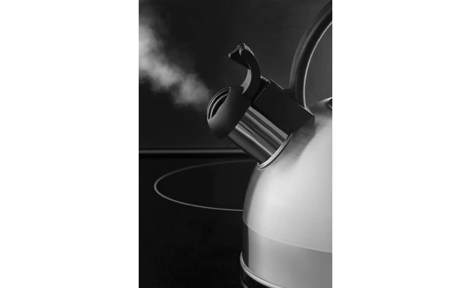 WMF Flötenkessel Orbit