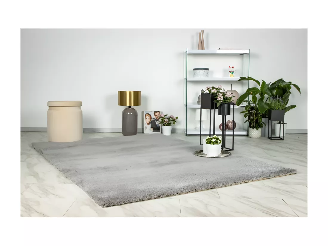 Tapis 230x160cm, design D005M coloris argent - Confort et élégance pour votre intérieur