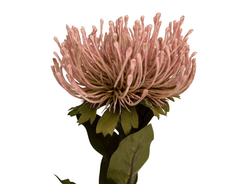 Artificial Plant Protea Flower Large PT3905LP Light pink