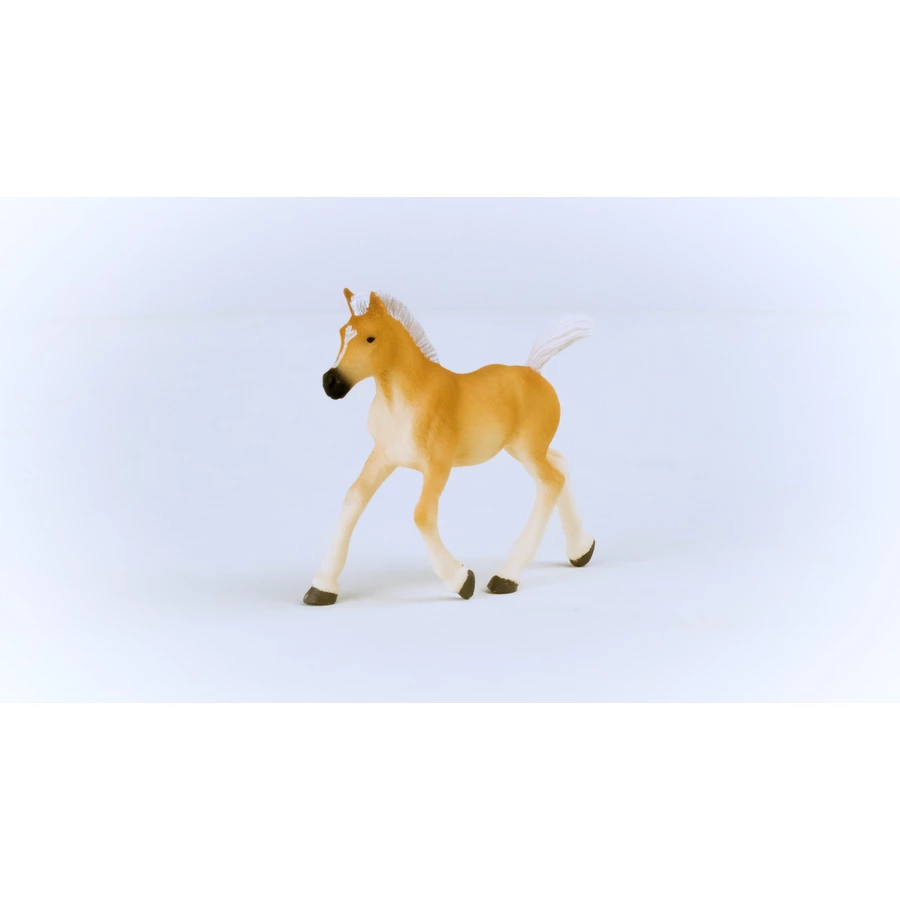 schleich® Haflinger Fohlen 13951