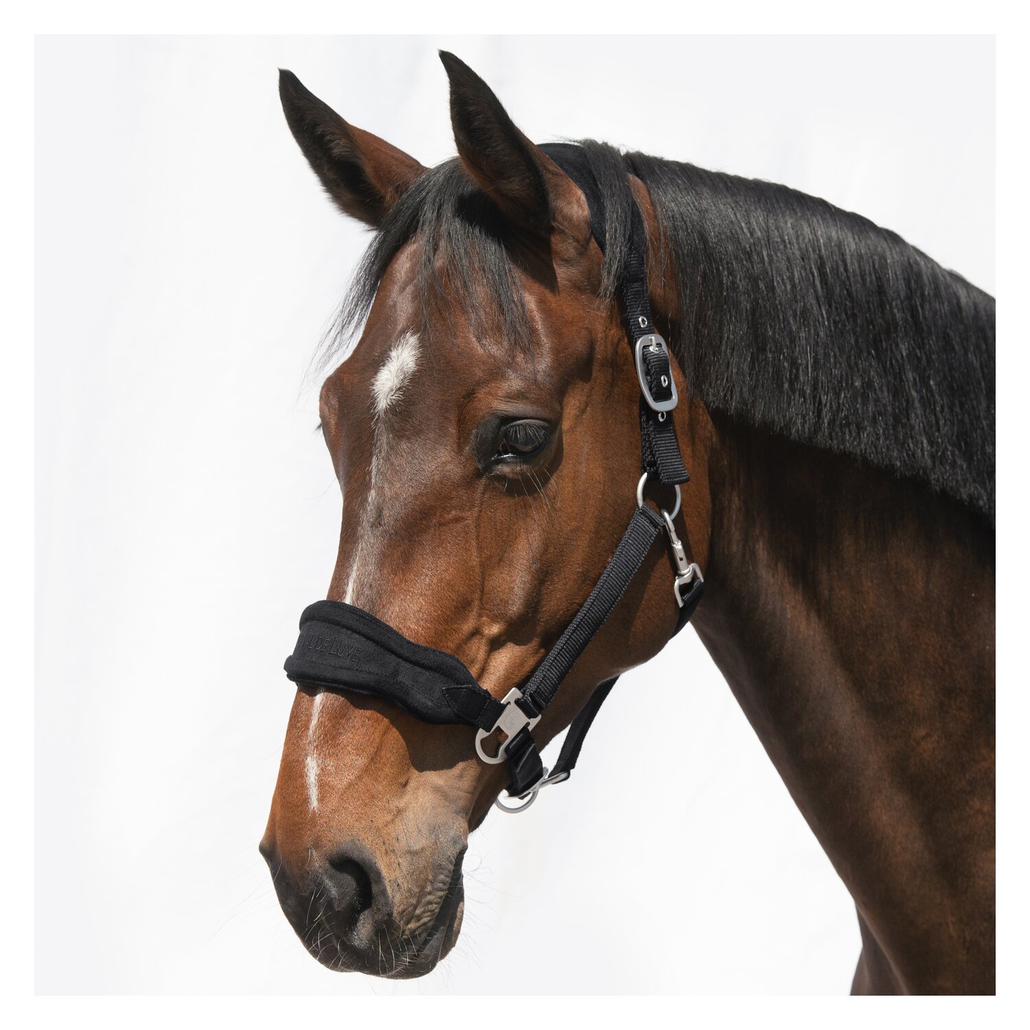 Cheval de Luxe Halfter Bayonne  - schwarz