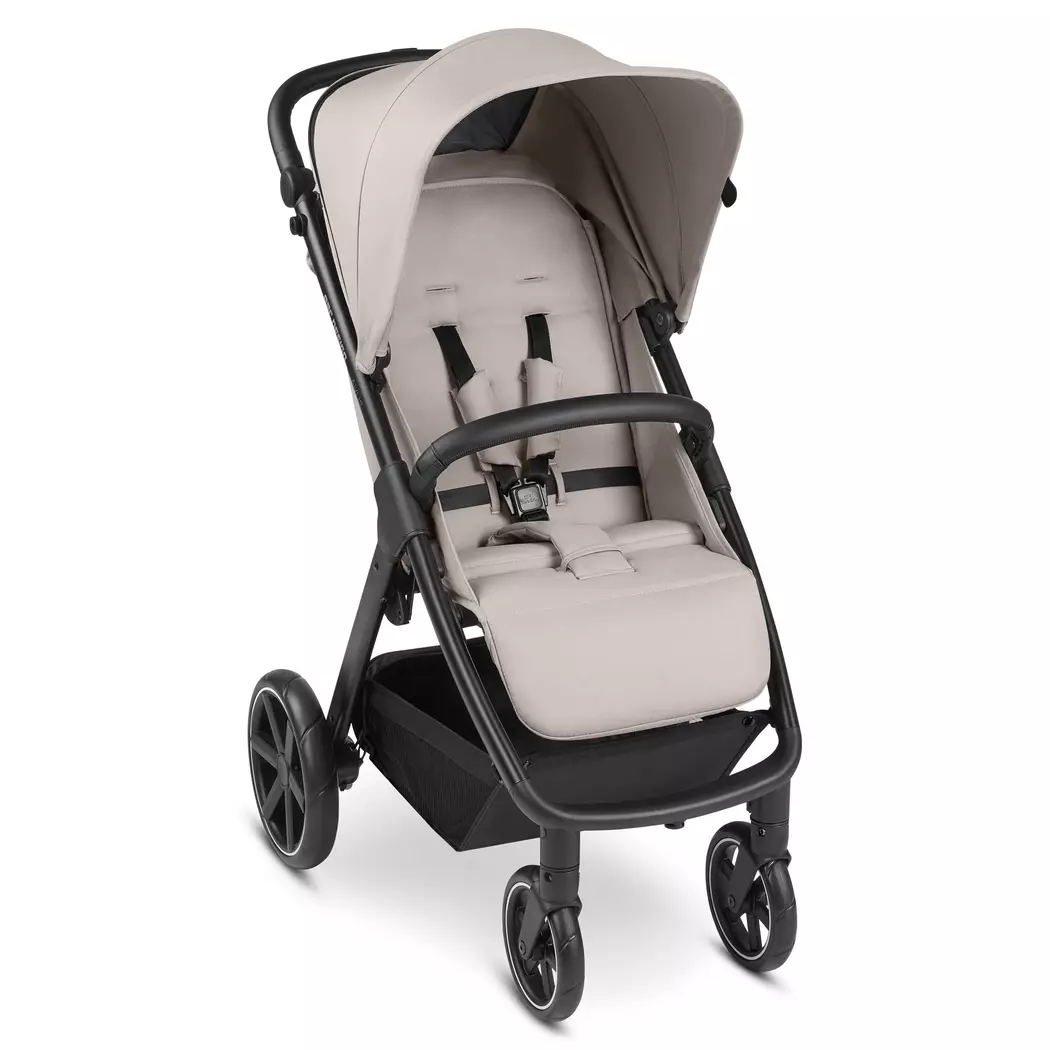 Buggy Avus Powder