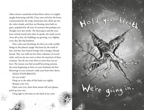Which Way to Anywhere (Paperback)