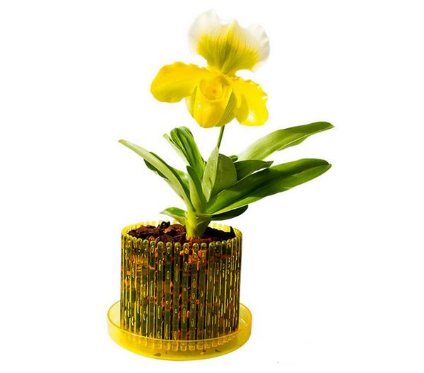 Orchitop® Orchideentopf M Set, rund, ca. Ø13