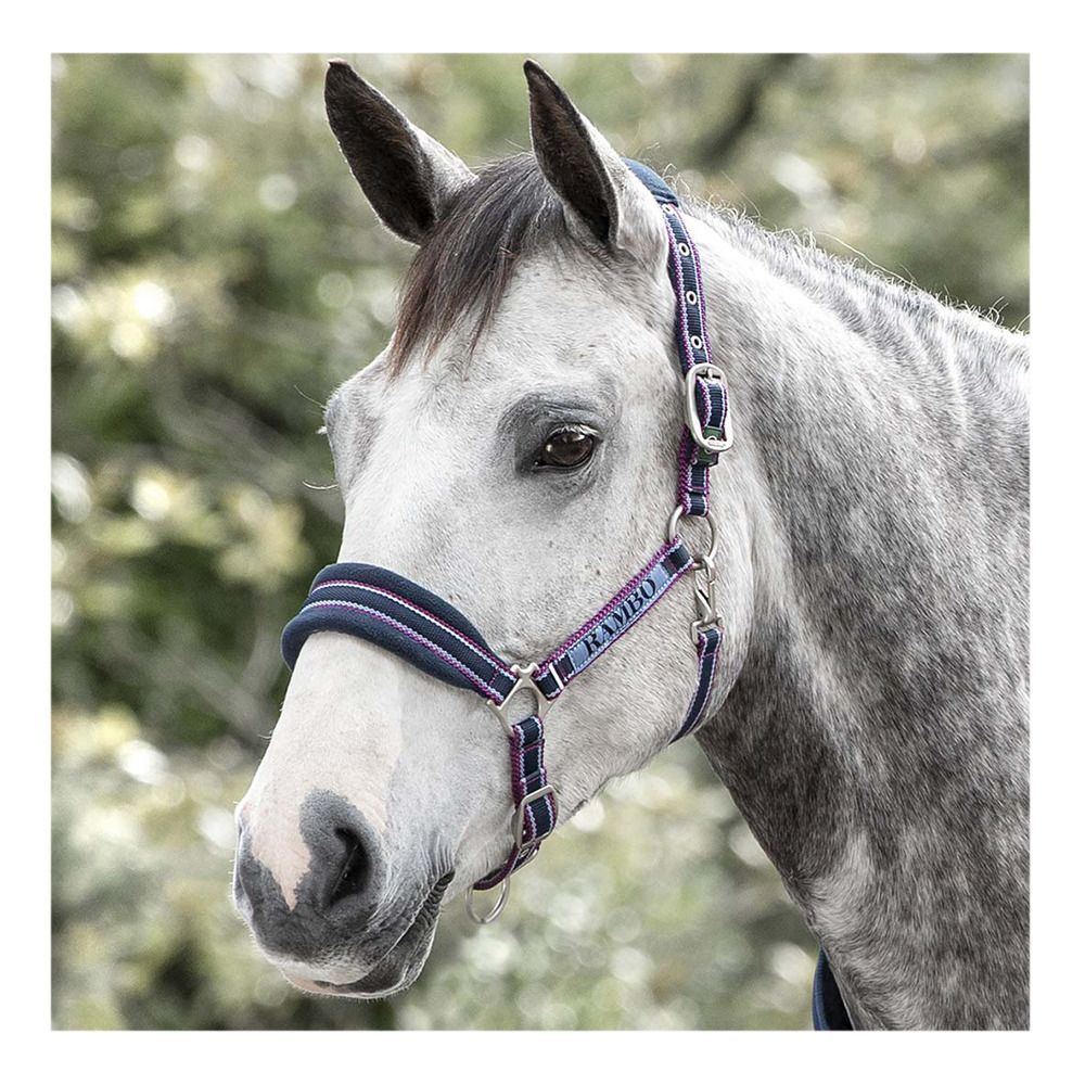 Horseware RAMBO PADDED - Licol navy/burg,dustyblu&nvy