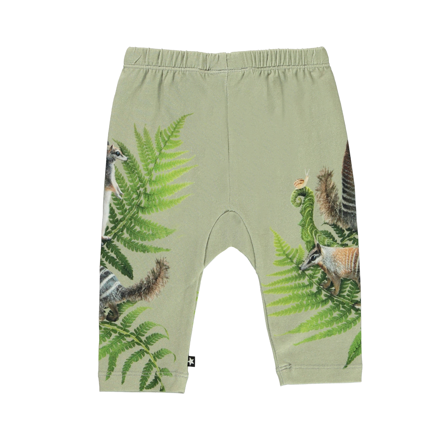 Sabb - Fern Climbers