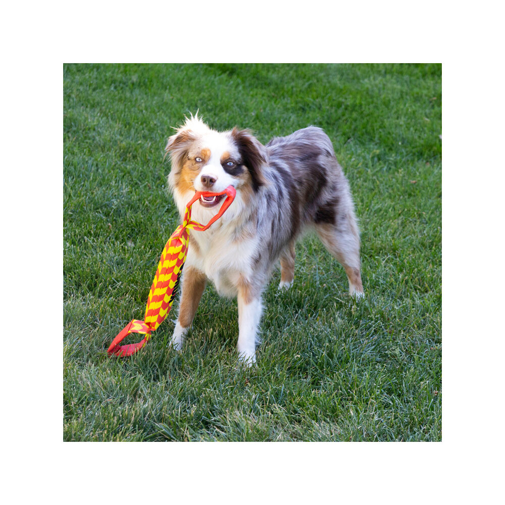 KONG Maxx Tug