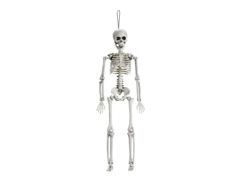 Halloween Skelet Wit 40cm