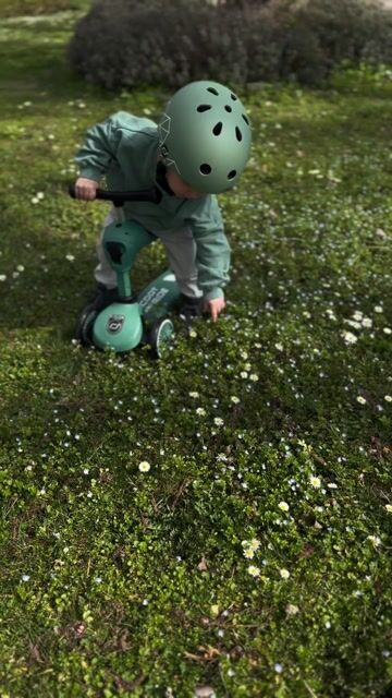 Sparkesykkel & Løpesykkel – Scoot & Ride Highwaykick 1 | Barn 1-5 år