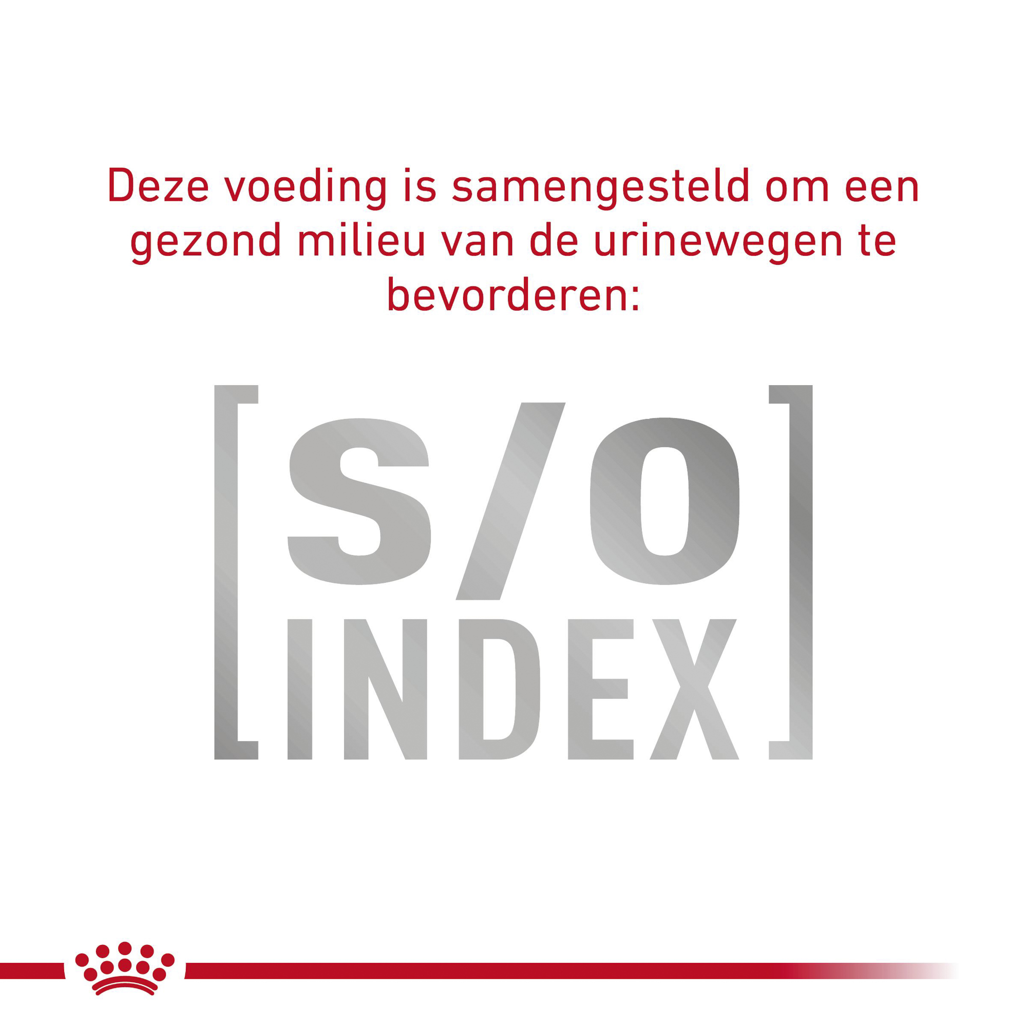 Royal Canin Gastrointestinal Fibre Response Kat - Maaltijdzakje