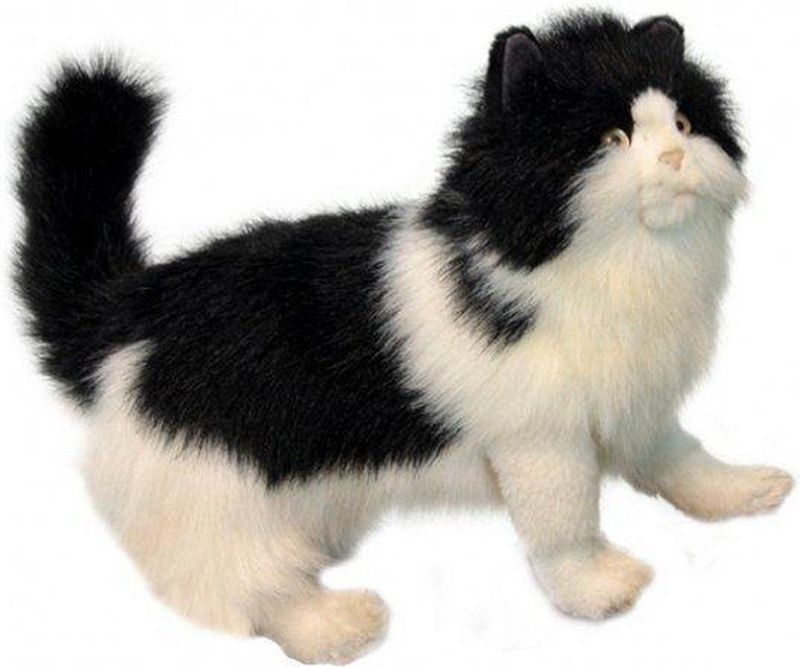 Hansa - Perzische Kat/Poets Knuffel - Zwart/Wit - 40 cm - Pluche - Realistisch