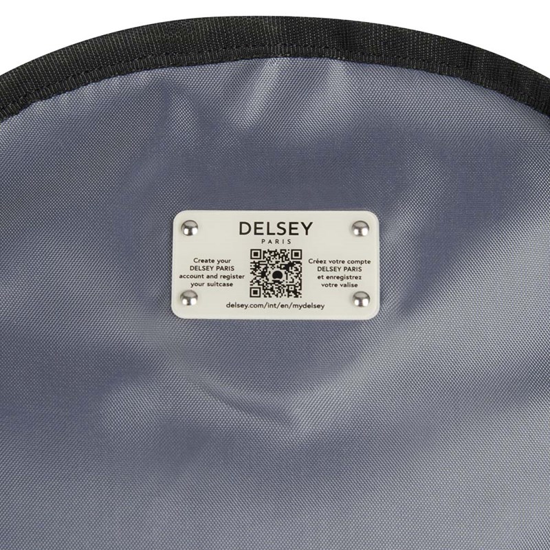 Delsey<br>Computerrygsæk Aviator 15