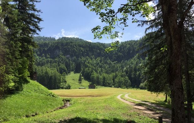 Kulinarische Bergwanderung in Reit im Winkl als Geschenk | MYDAYS