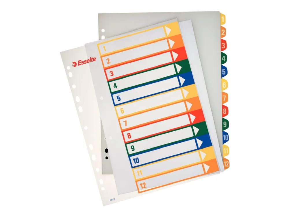 Register PC printbar Esselte PP A4 maxi Flerfarvet - (10 stk.)