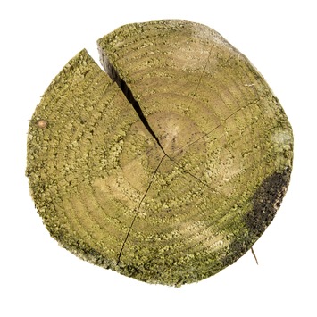 Tuinpaal rond kastanjehout Ø 6-8 cm, lengte ca. 180 cm