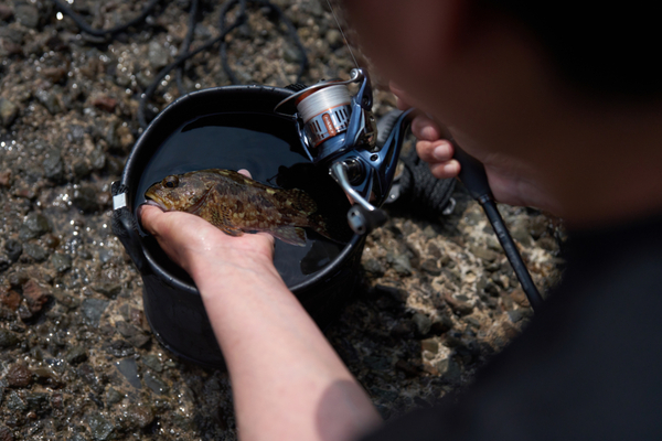 Moulinet spinning à frein avant Shimano Nasci FD