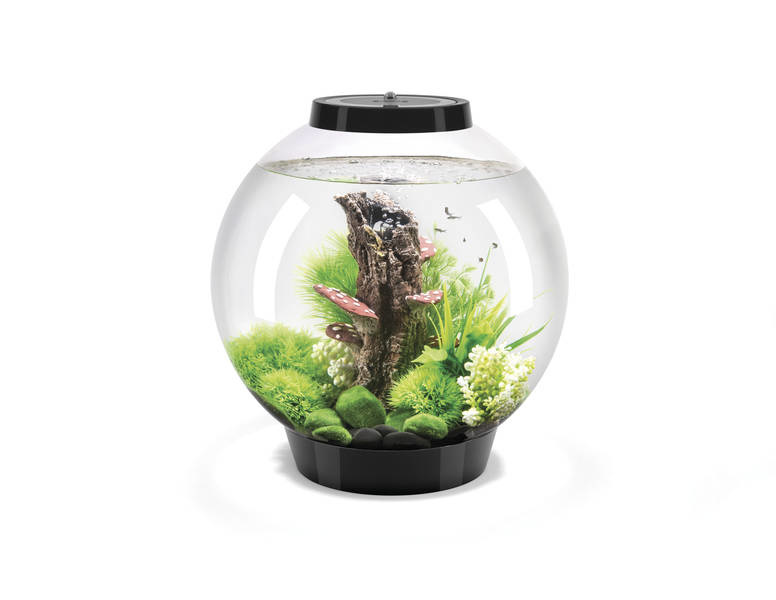 biOrb Classic 30 MCR Zwart | Aquarium