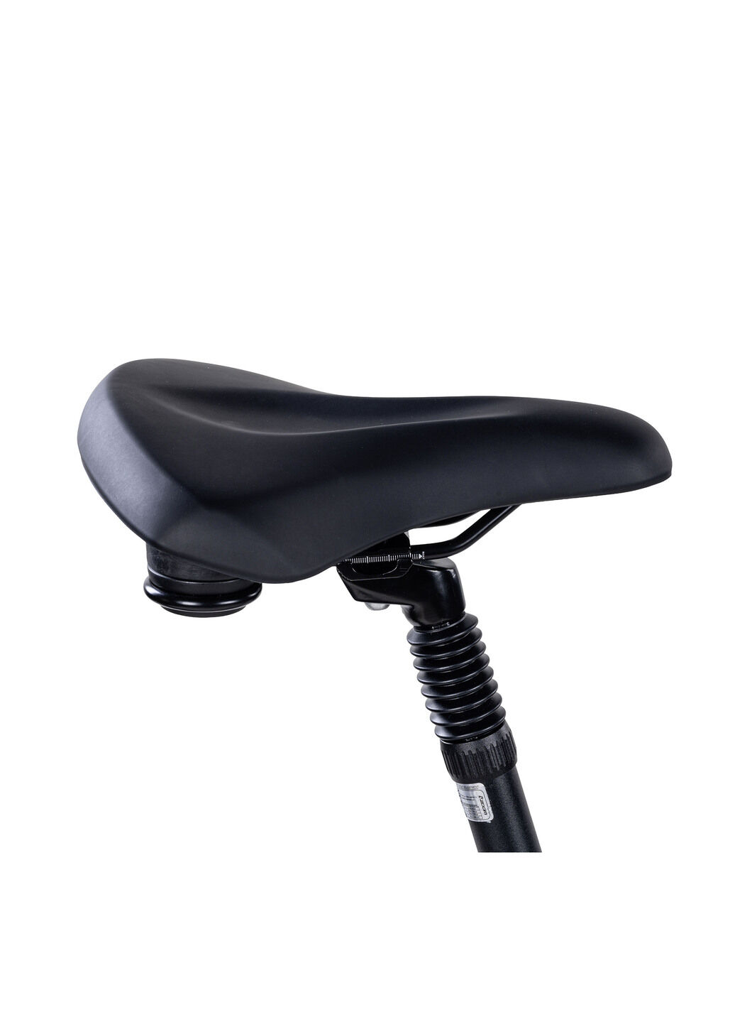 E-Bike Comfort Plus 5.0 von Saxonette