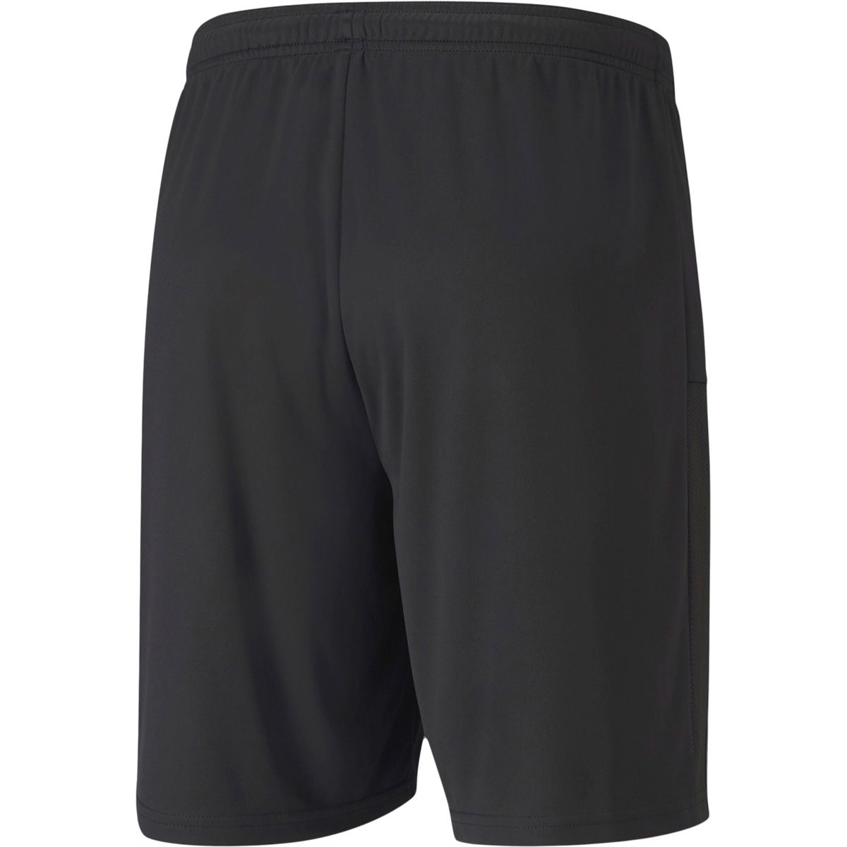 Puma teamGOAL 23 Knit Træningsshorts Herre
