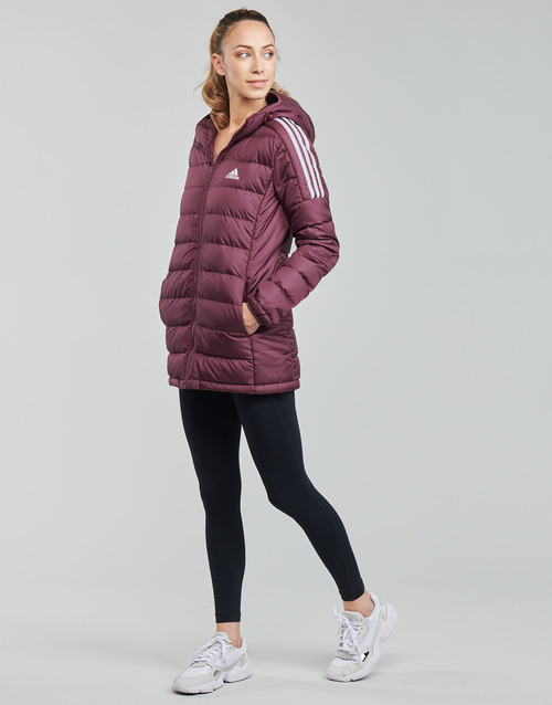 adidas Performance - WESSPAR - Pourpre victoire