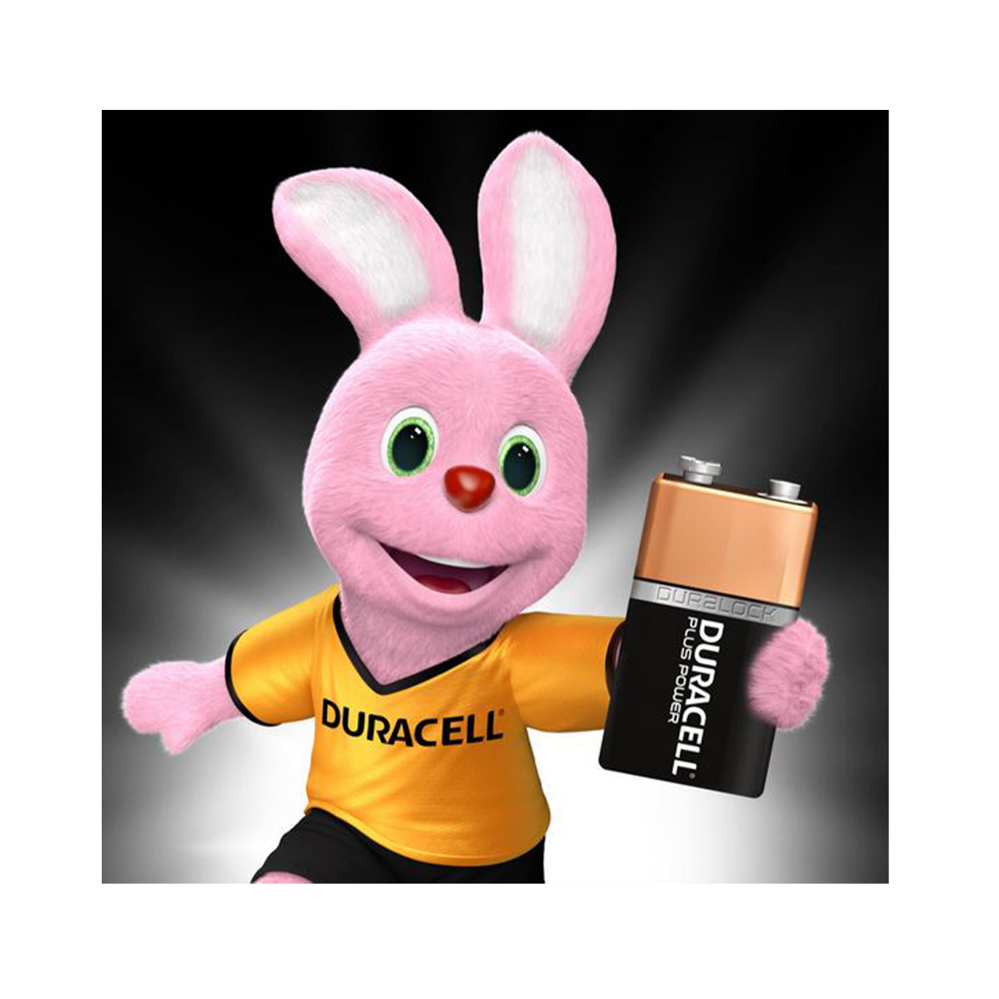 Duracell Batterien Plus 9V / 6LF22