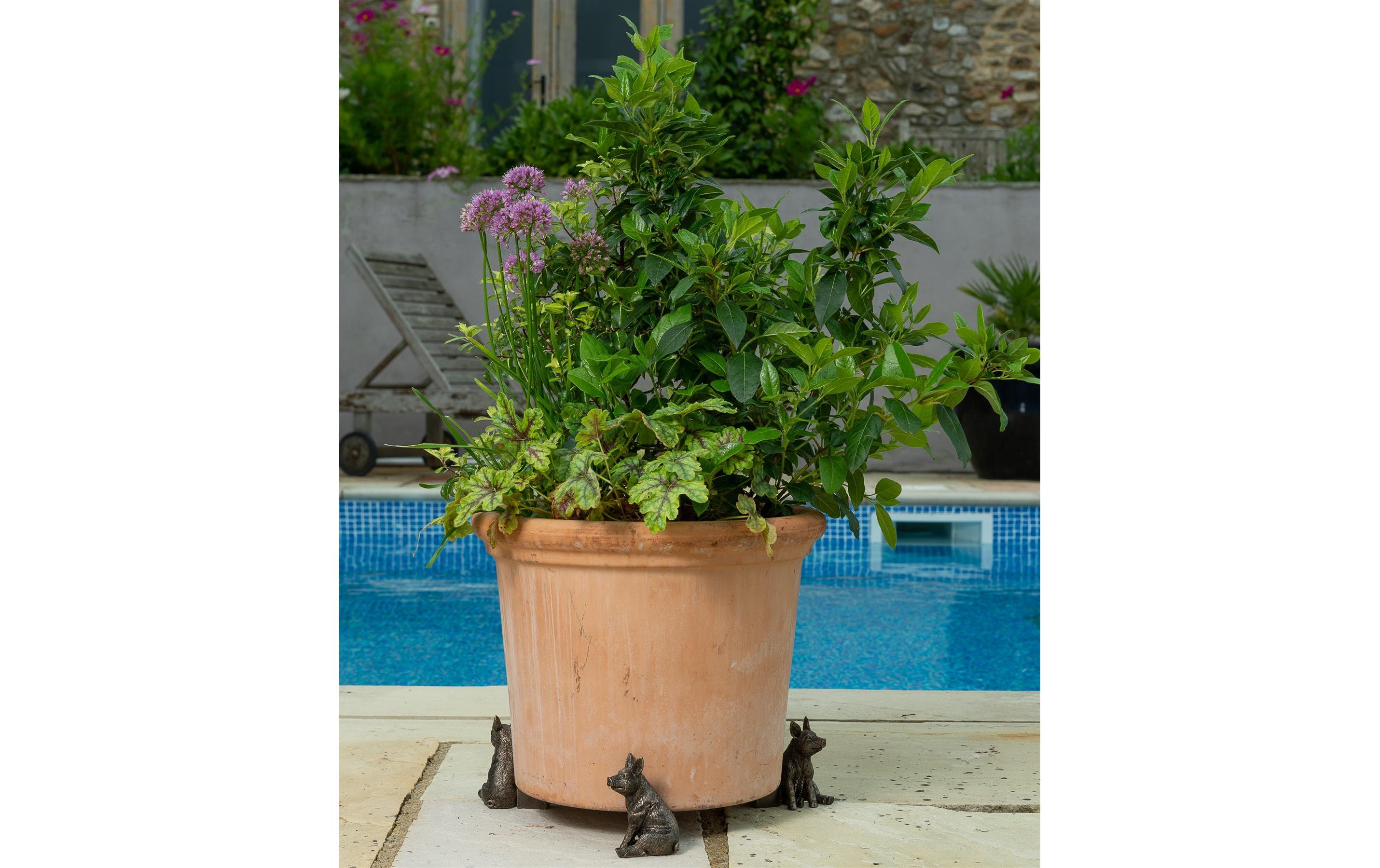Pflanzentopffüsse Potty Feet Schwein, 3er SetBlumentopffuss