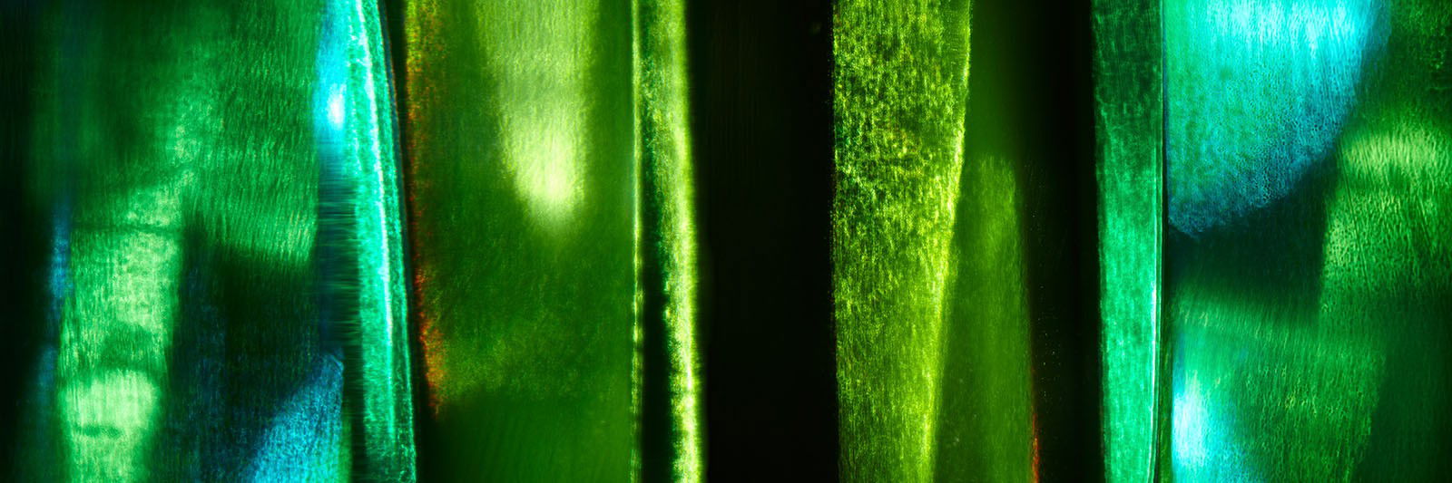 Smaragd by Beatrice Hug - Limited Edition. Edition of: 150. Signed.