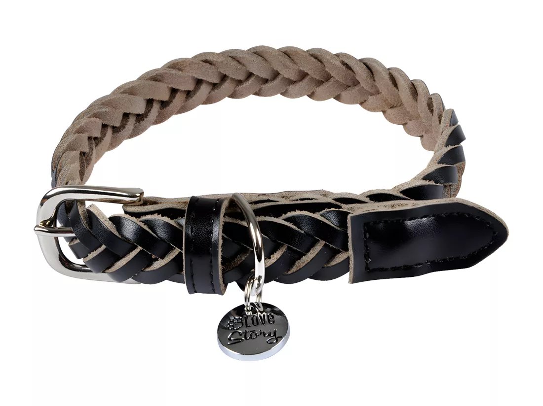 Collier pour Chien Réglable 