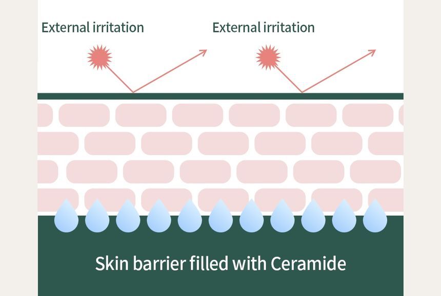 Benton - Ceramide Crème 10000ppm