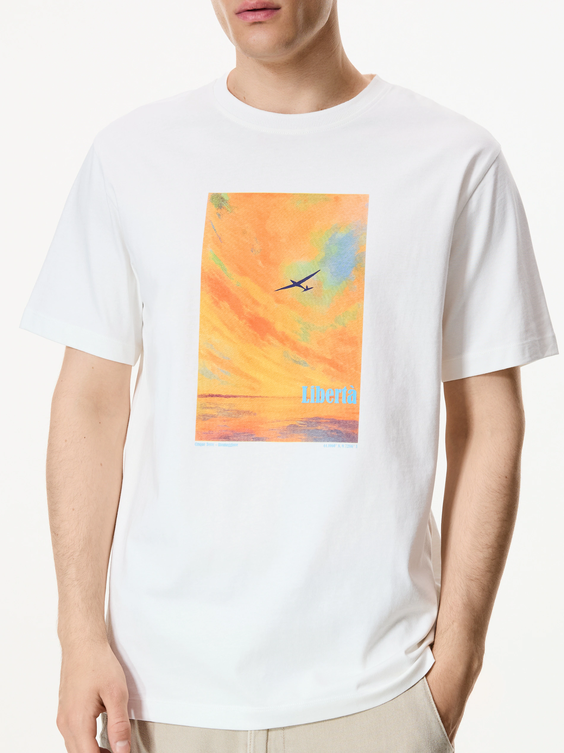 Bedrucktes T-Shirt im Regular-Fit
