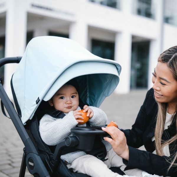 Thule Shine Kinderwagen 2-in-1 Black / Alaska Blue