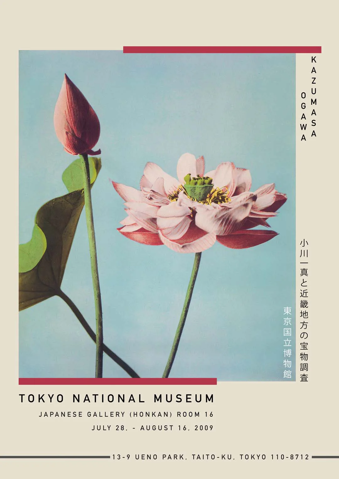 Lotusblume von Kazumasa Ausstellung