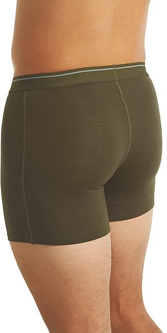 ICEBREAKER - BOXER ANATOMICA M