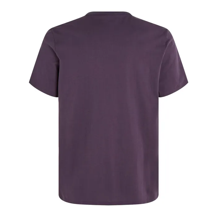 Calvin Klein SS Crew Neck Shirt Heren