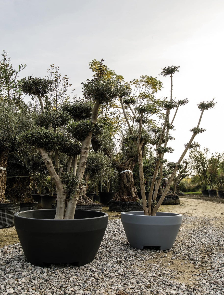 COLE 110 Jumbo XL plantenbak, 110 cm diameter, 360 liter inhoud, wit, plantenbak, plantencontainer