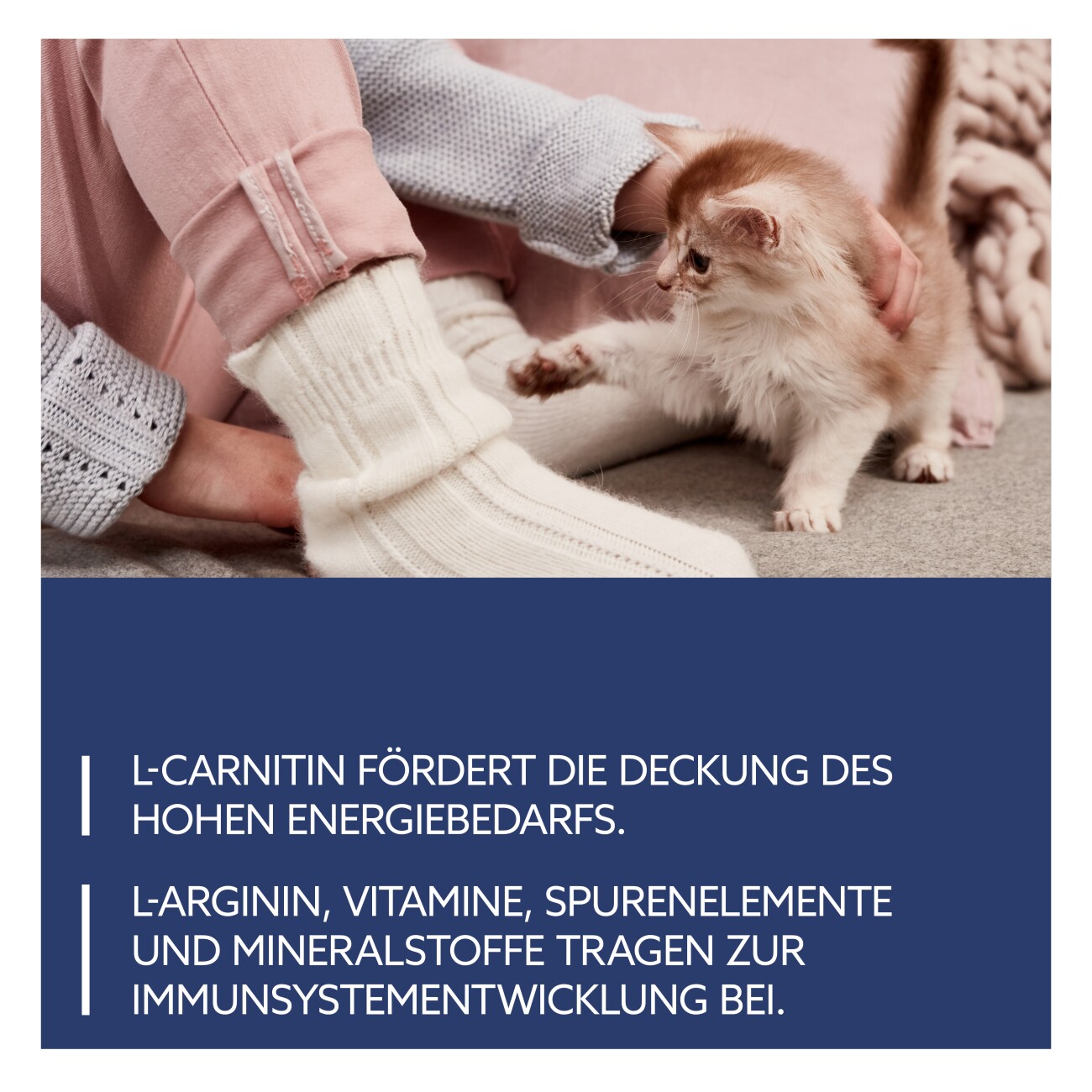 GimCat Kitten Goat Milk 200 g