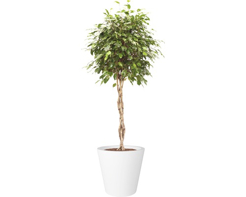 elho Pure rechte ronde plantenpot van kunststof, Ø 50 cm, H 51 cm, wit